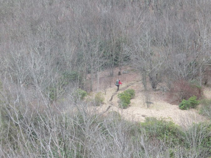 20150322_141142.jpg image