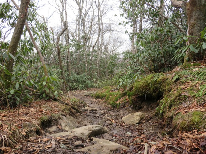 20150322_153306.jpg image