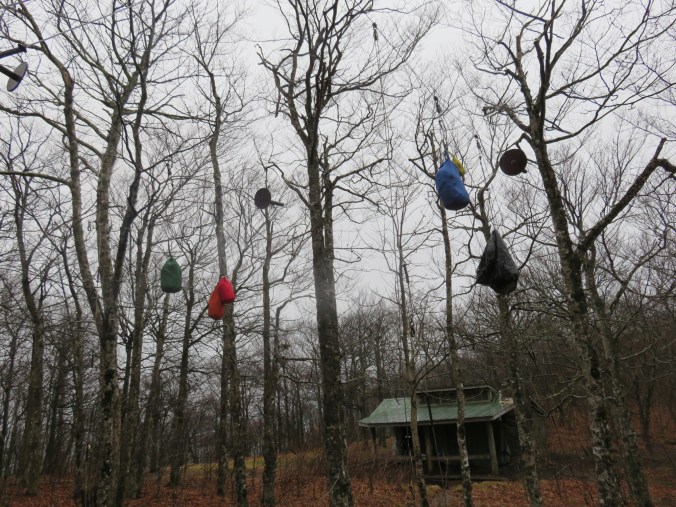 20150322_235018.jpg image