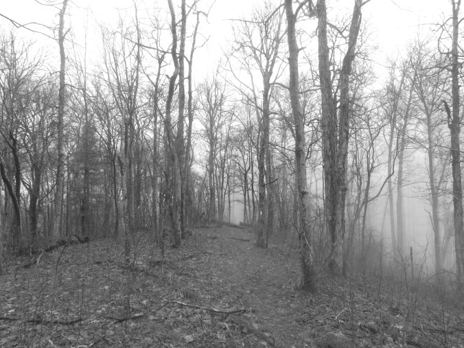 20150407_142335.jpg image