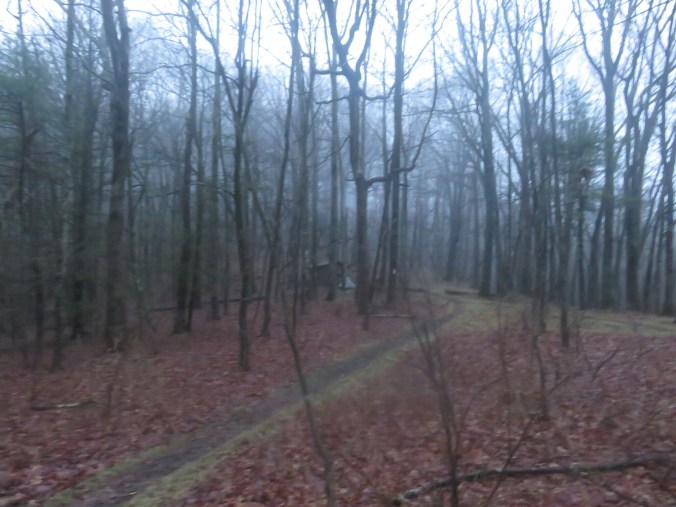 20150408_115521.jpg image