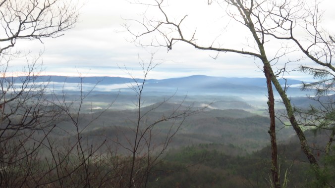 20150417_120612.jpg image