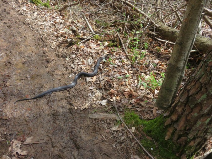 20150417_192910.jpg image