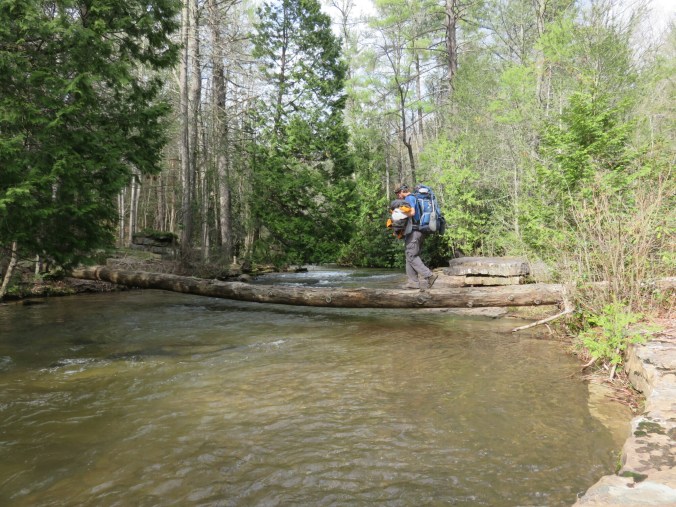 20150417_213754.jpg image