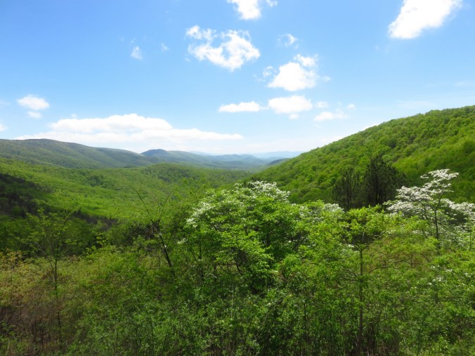 20150509_195149.jpg image